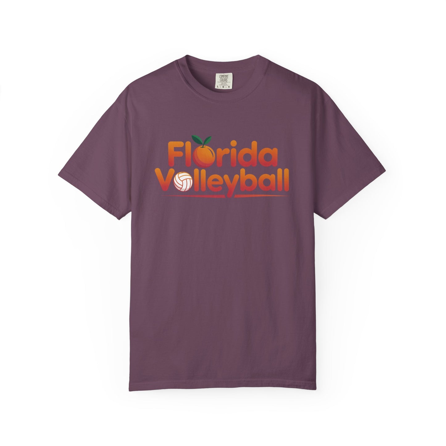 Florida Volleyball