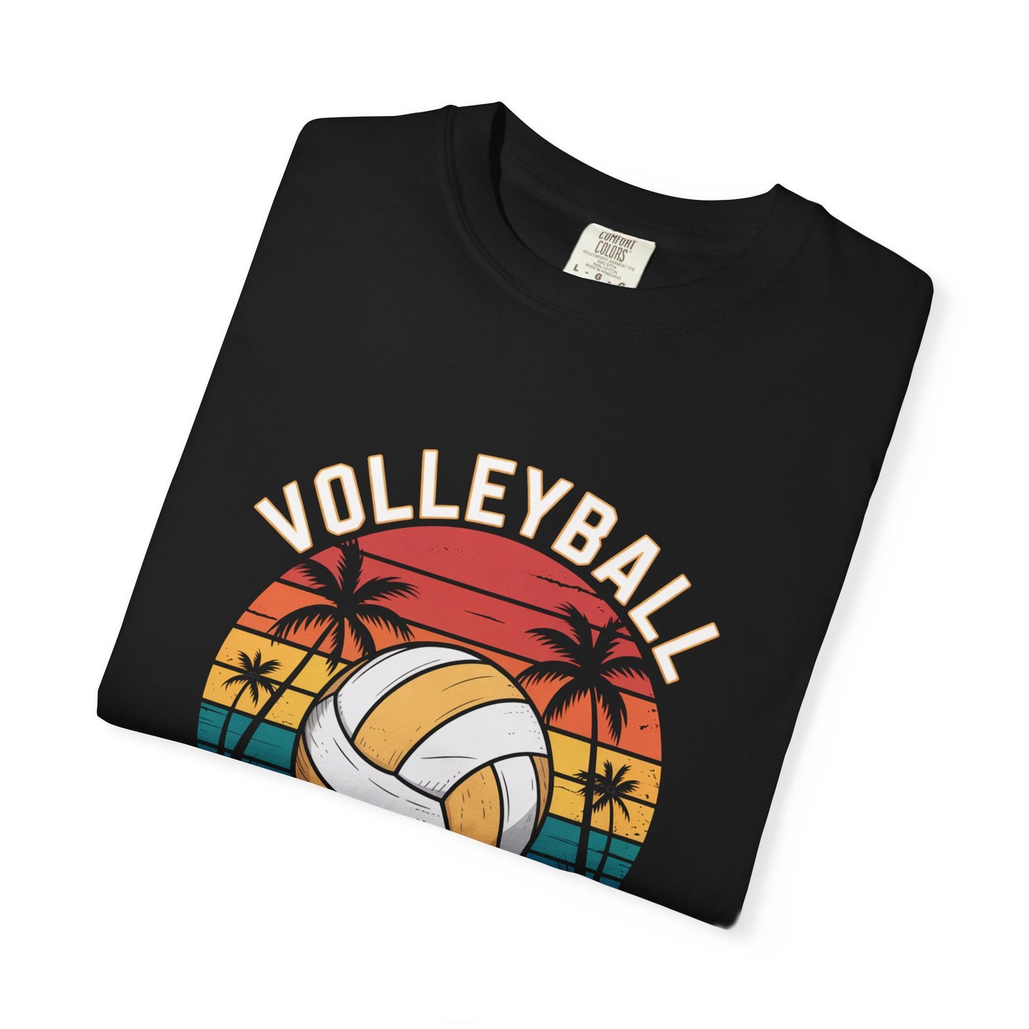 Volleyball Florida