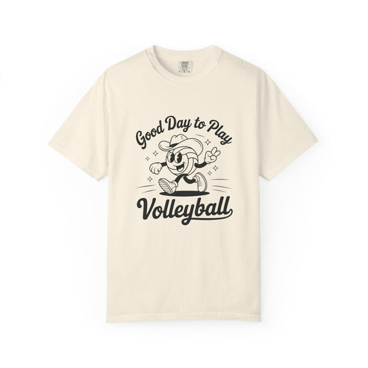 Good Day To Play Volleyball