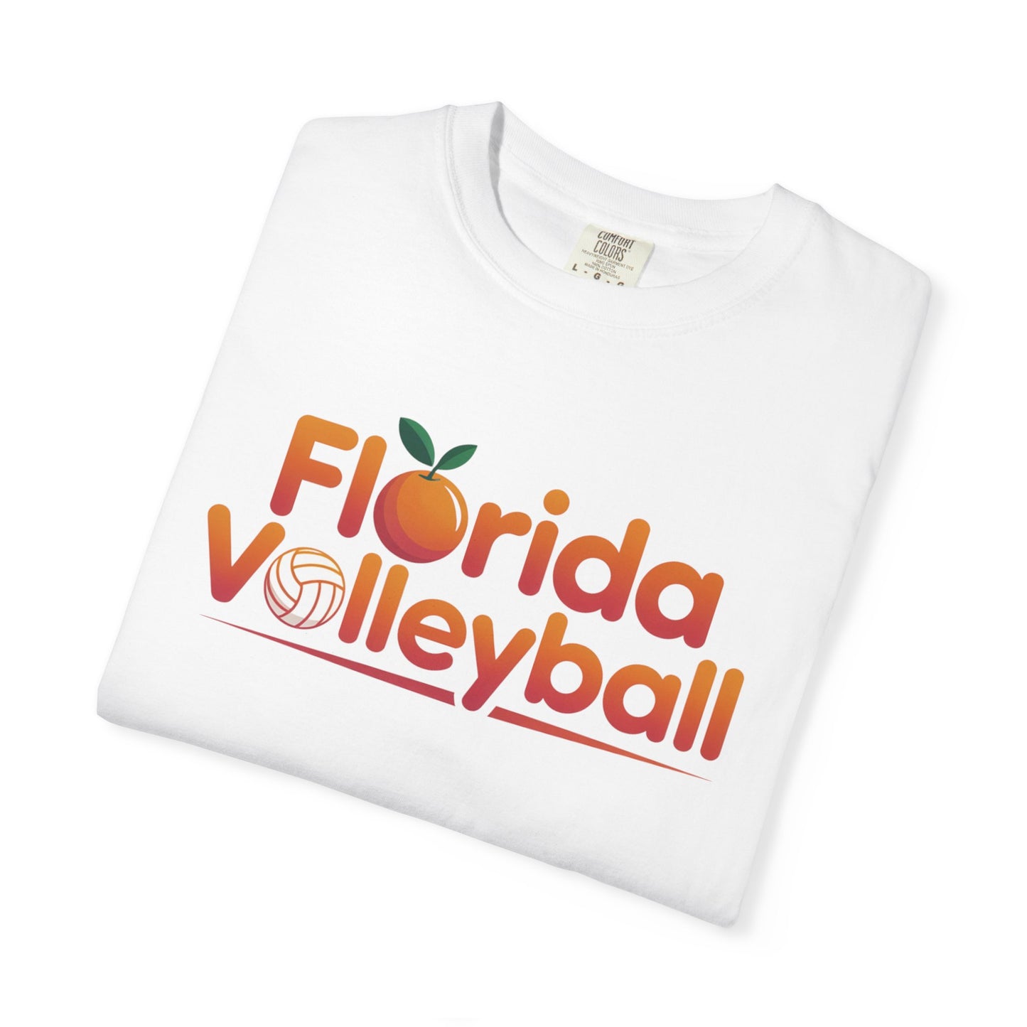 Florida Volleyball