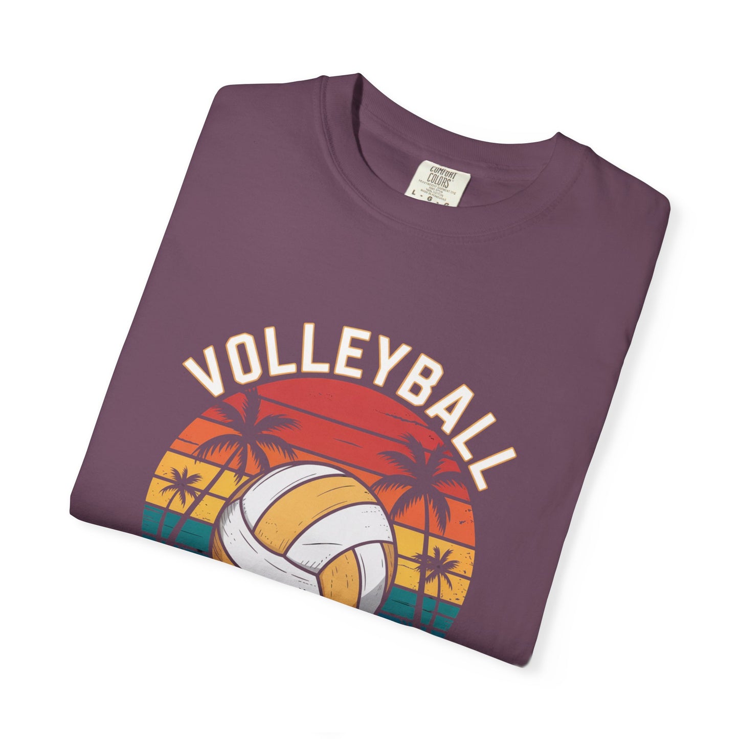 Volleyball Florida