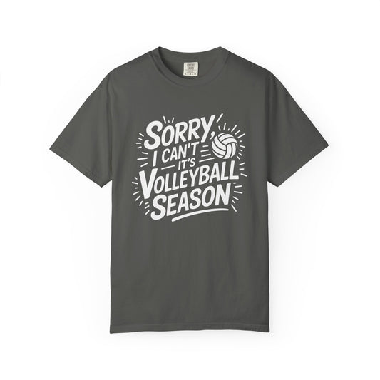 Sorry I Can't