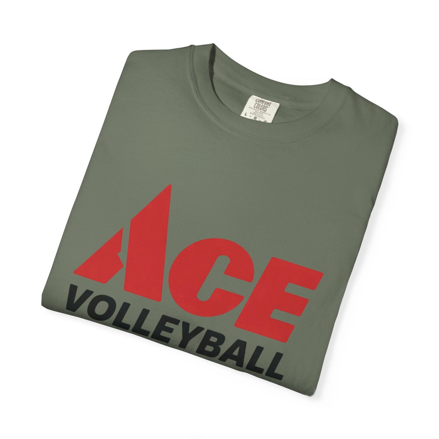 Ace Volleyball