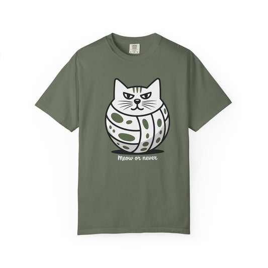 Meow Or Never
