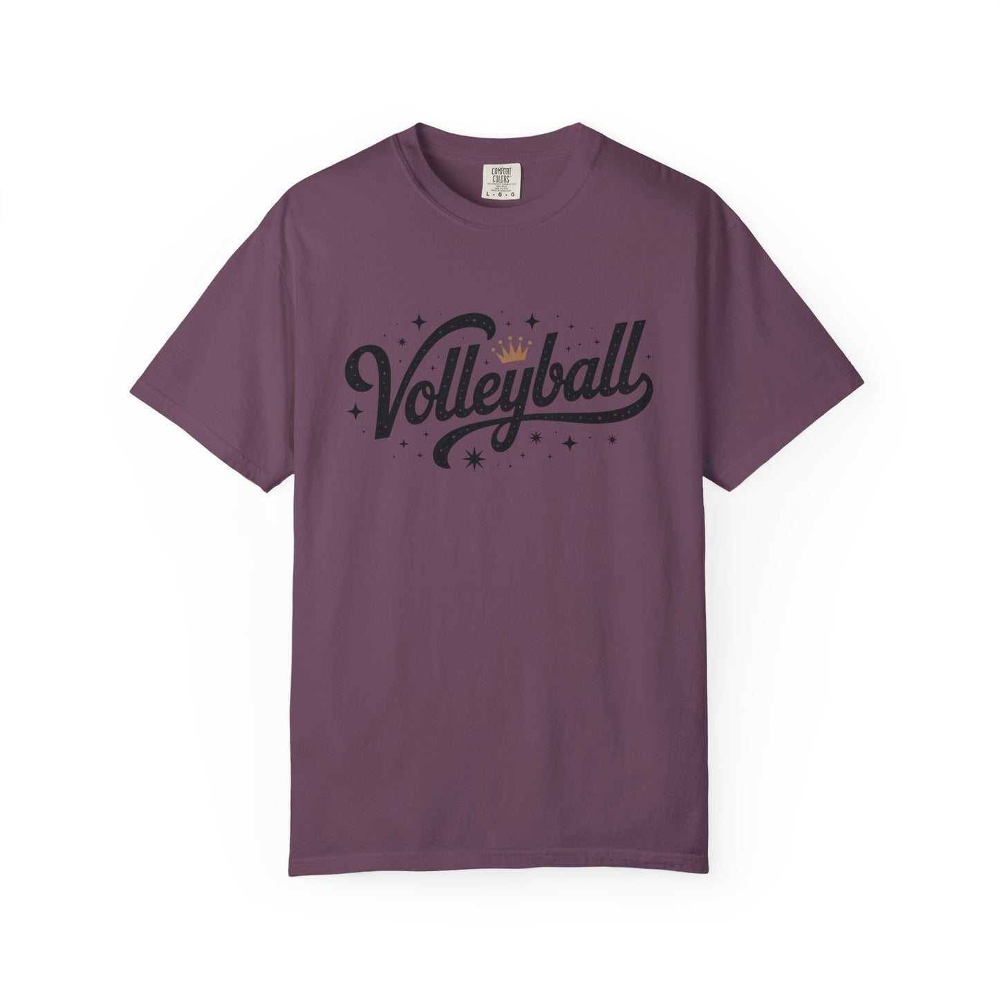 Volleyball Logo