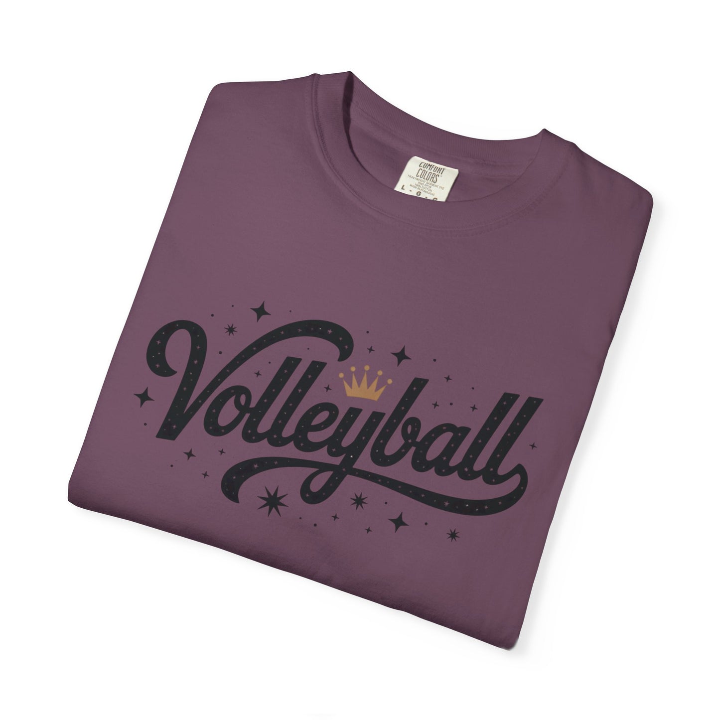 Volleyball Logo