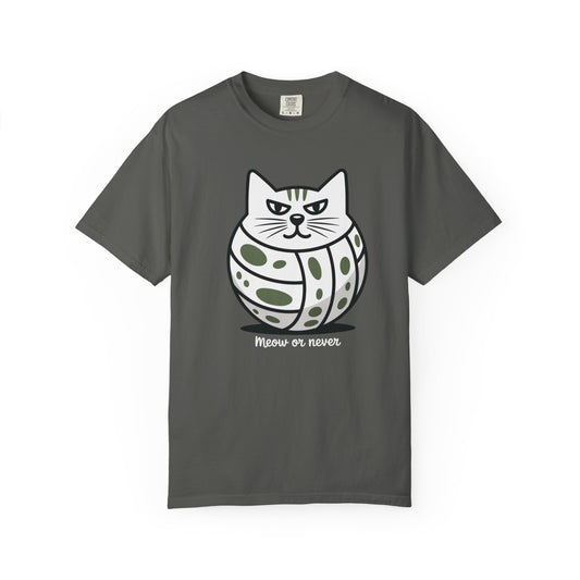 Meow Or Never