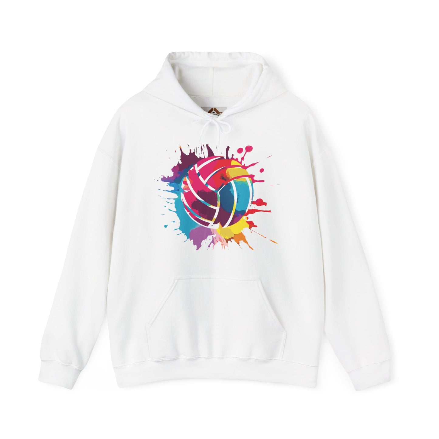 Colorsplash Volleyball - Hoodie