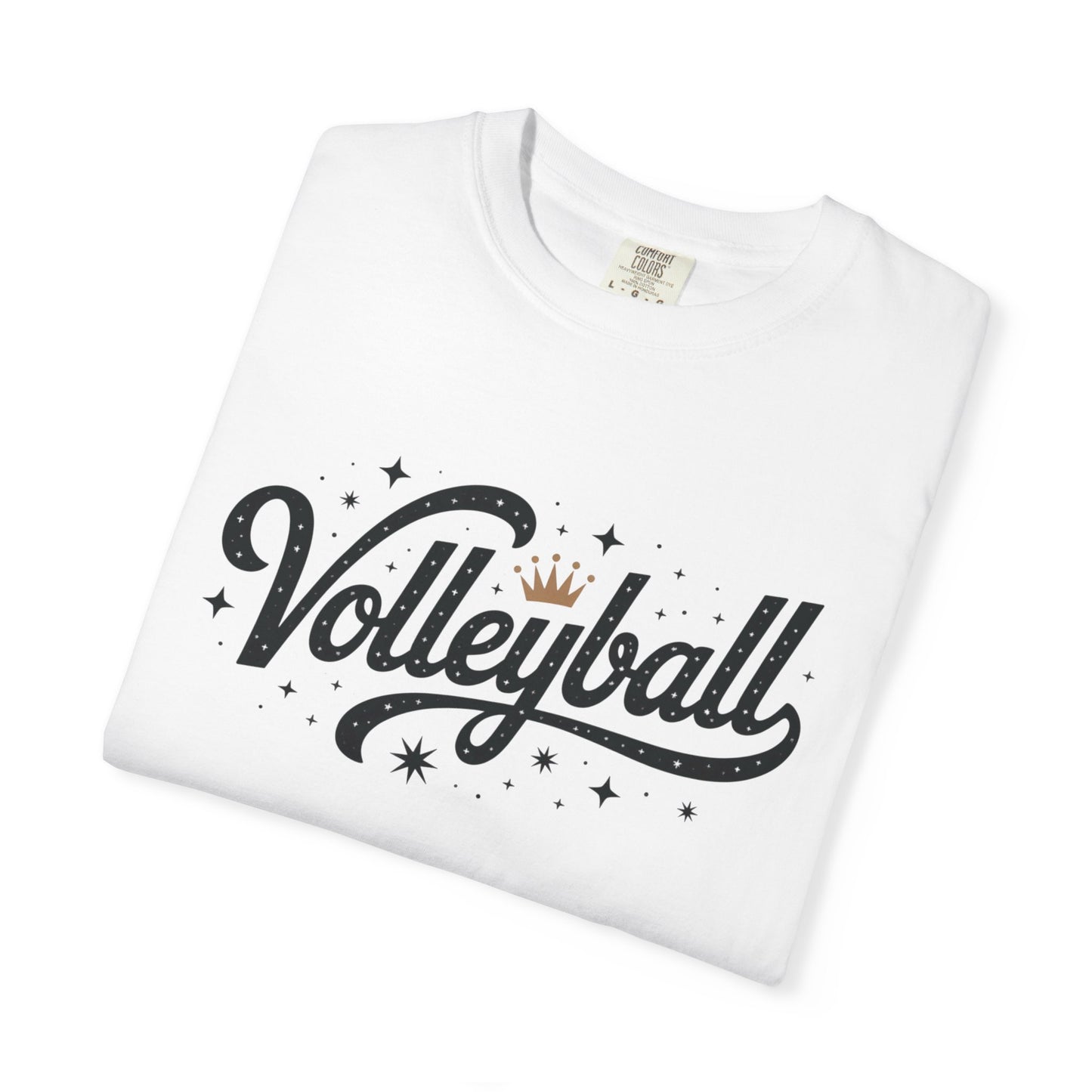 Volleyball Logo