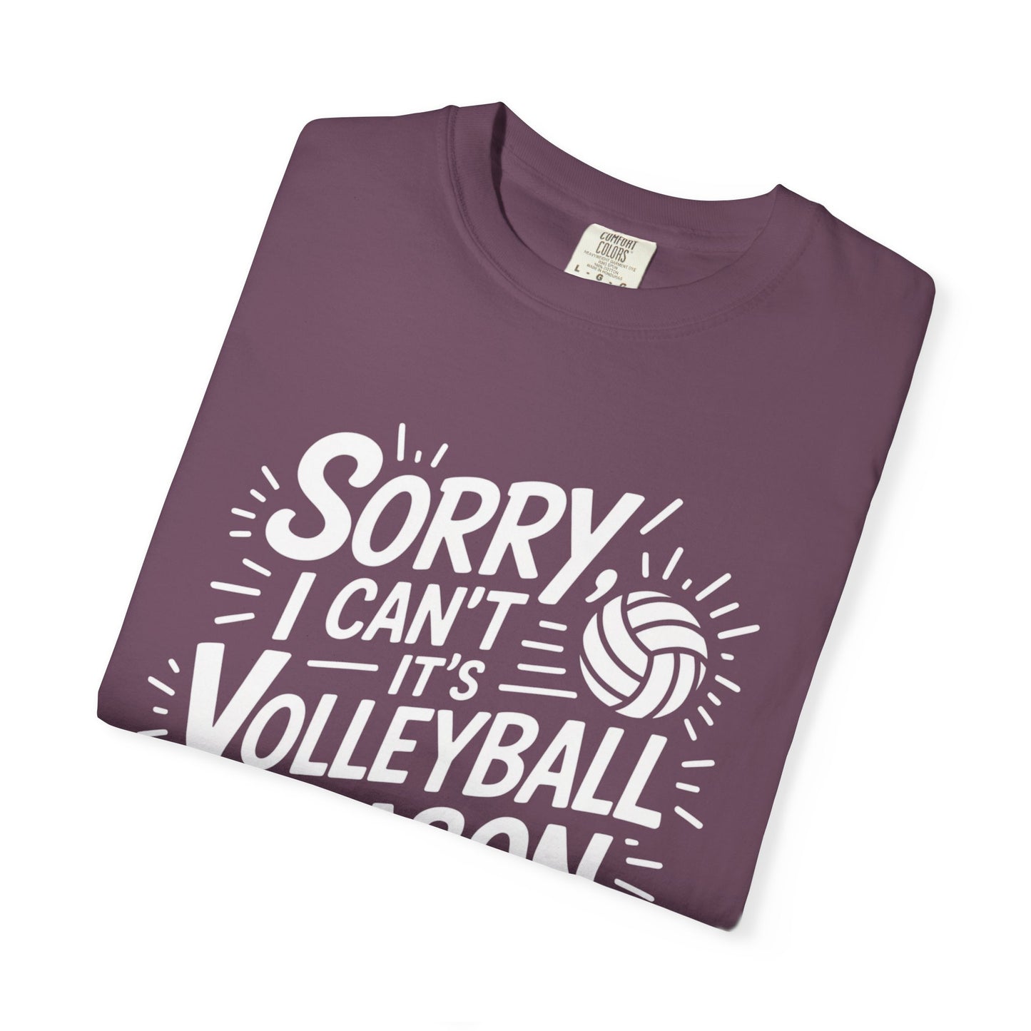 Sorry I Can't