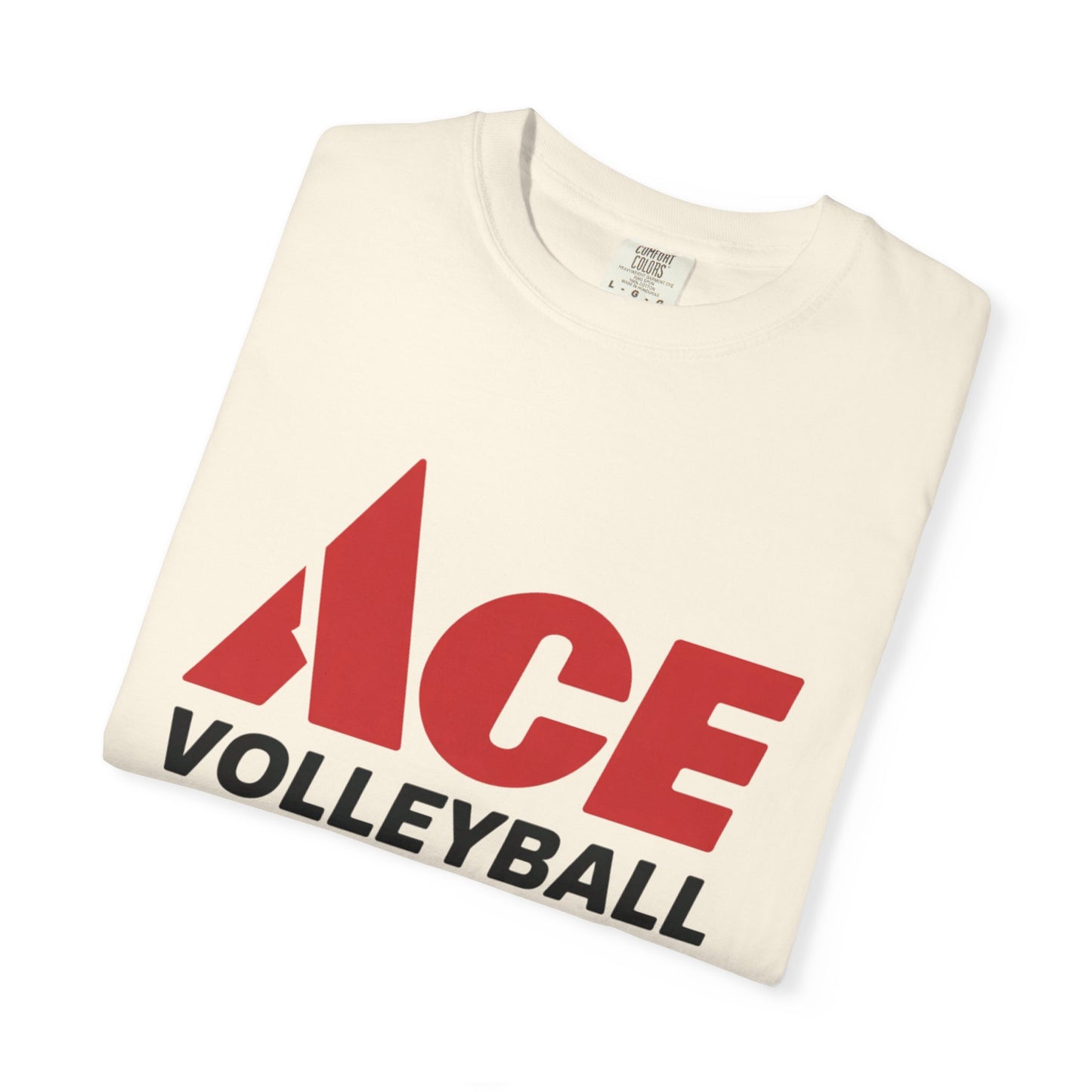 Ace Volleyball