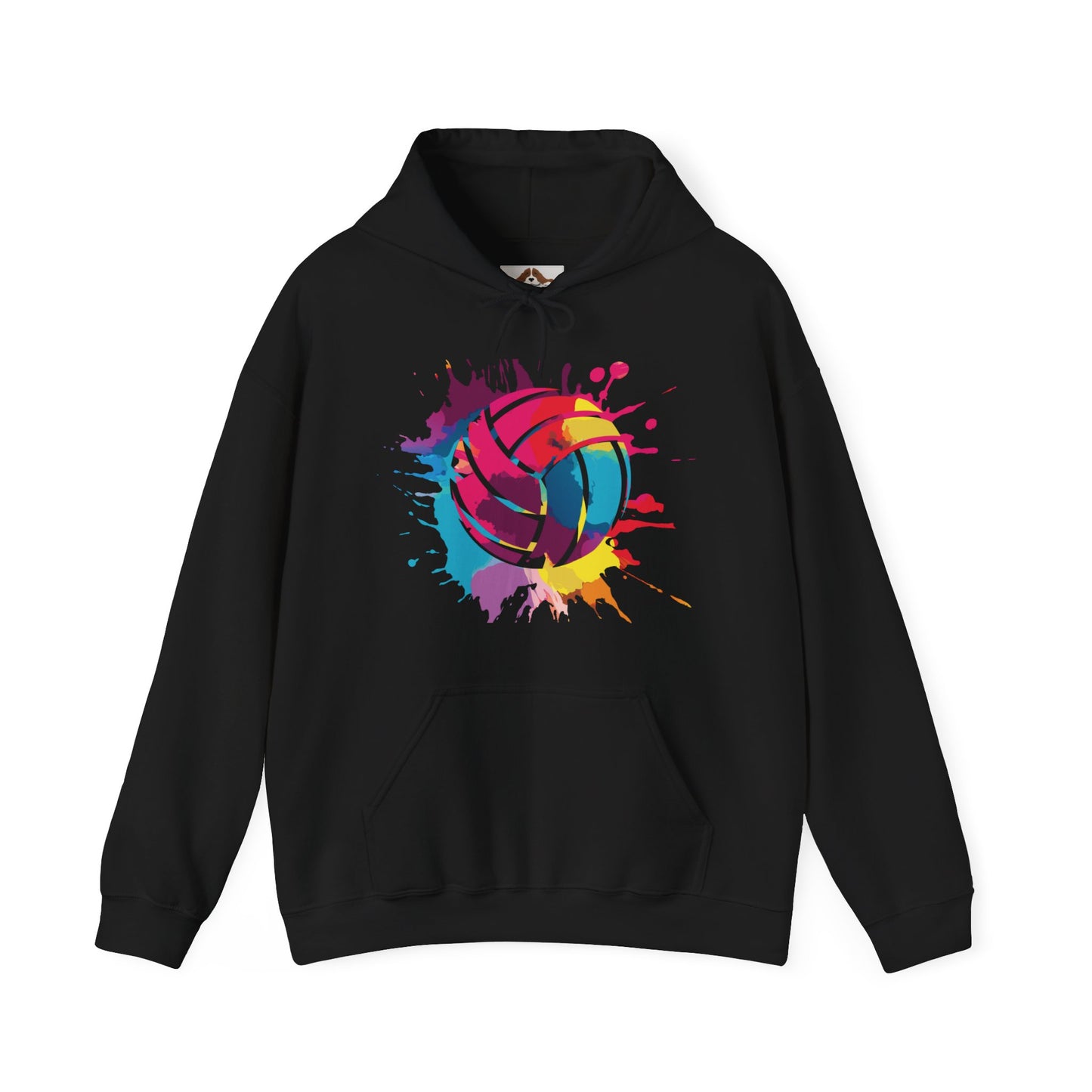 Colorsplash Volleyball - Hoodie