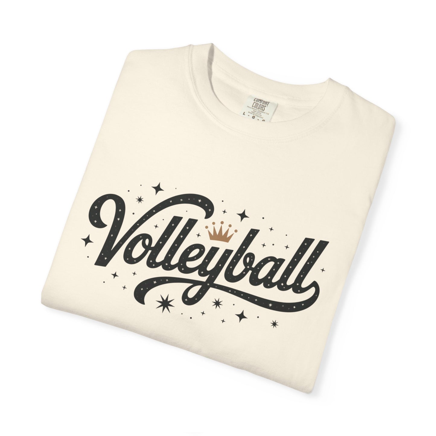 Volleyball Logo