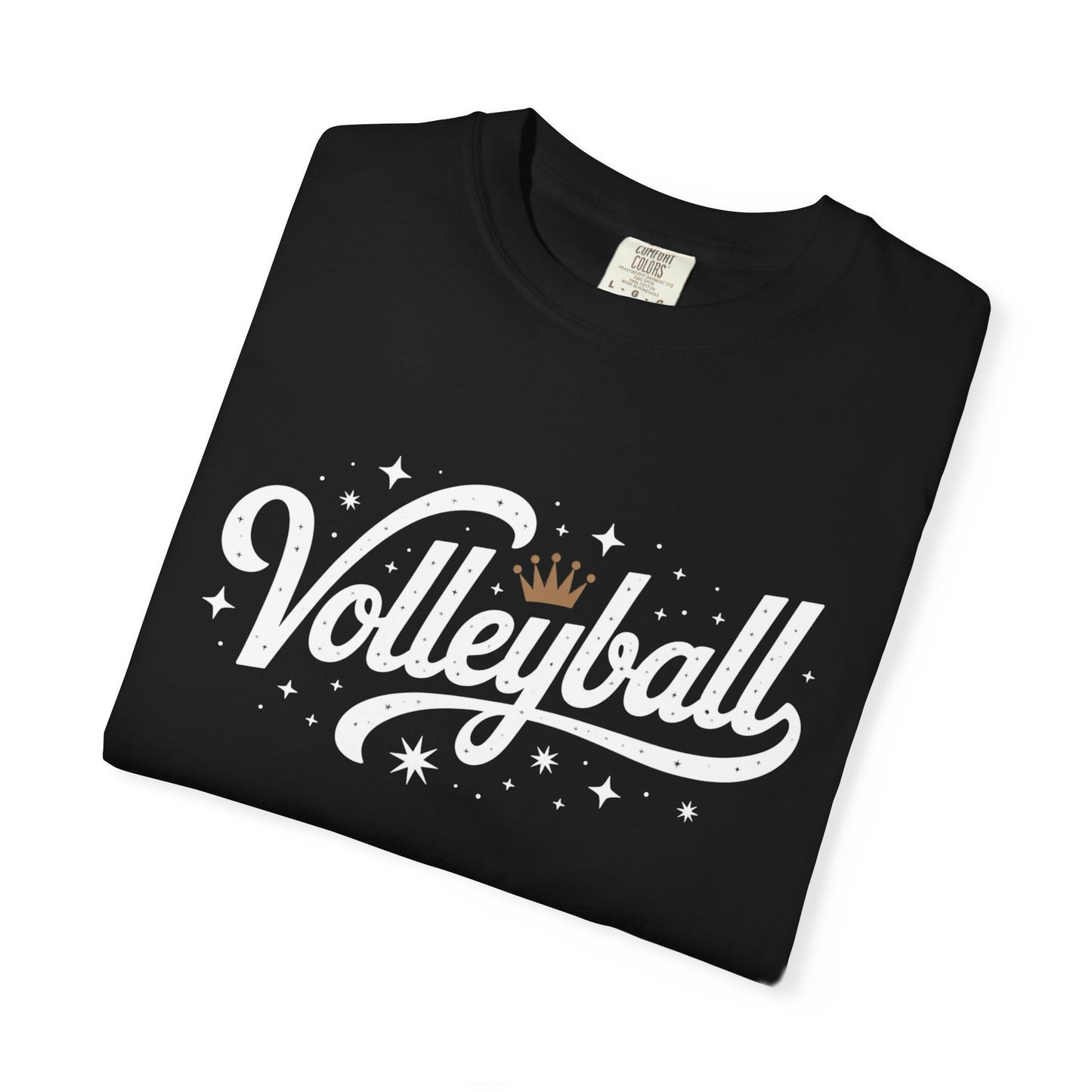 Volleyball Logo