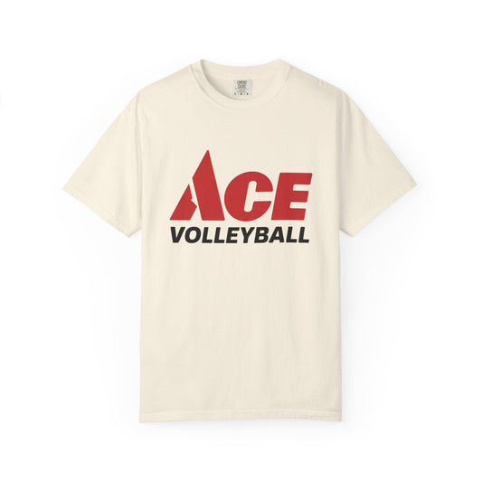 Ace Volleyball