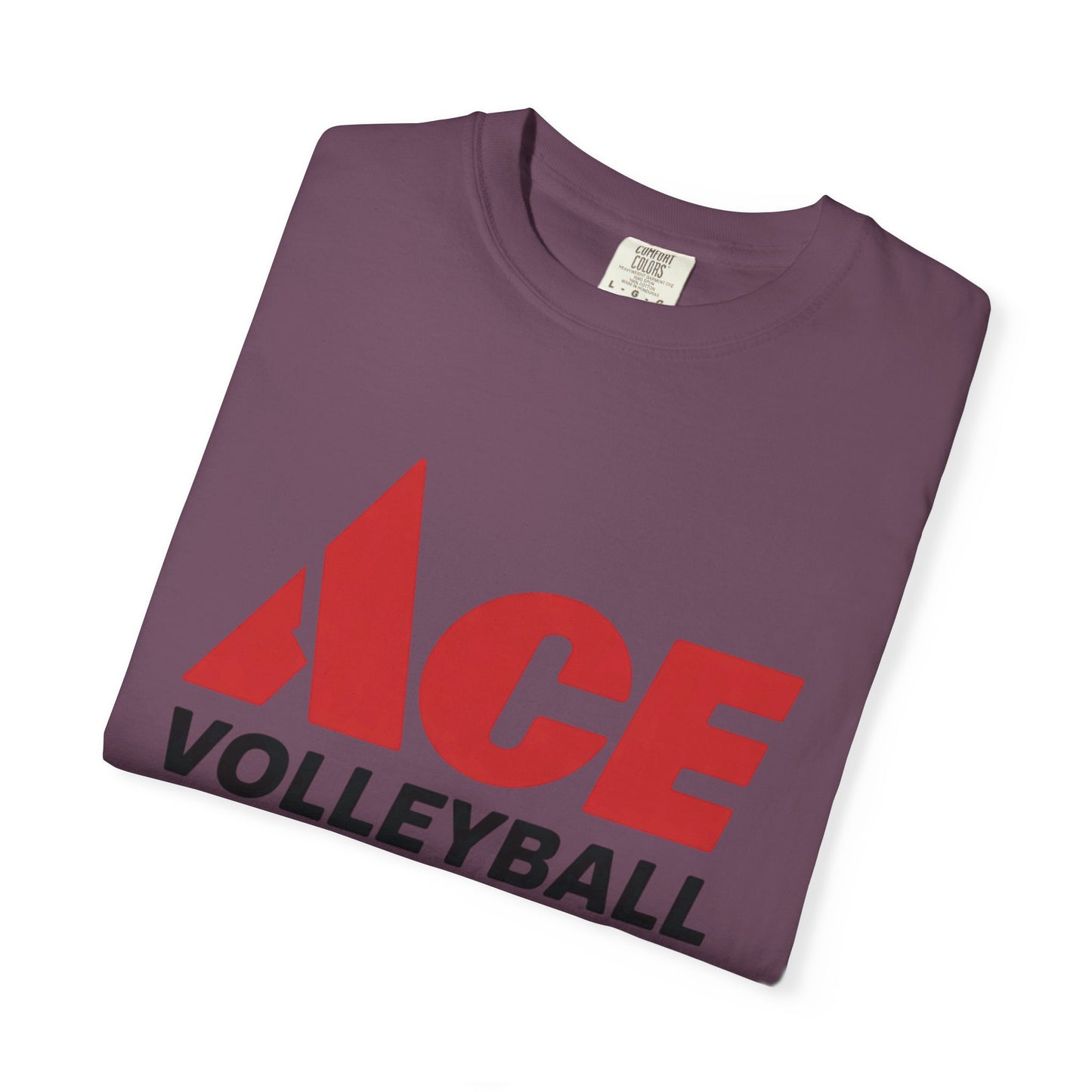 Ace Volleyball