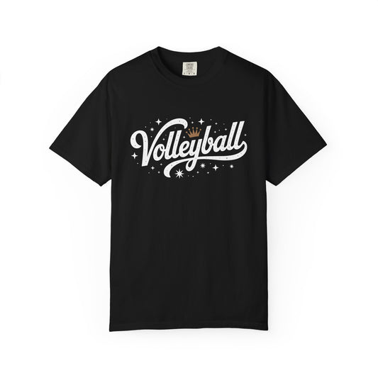 Volleyball Logo